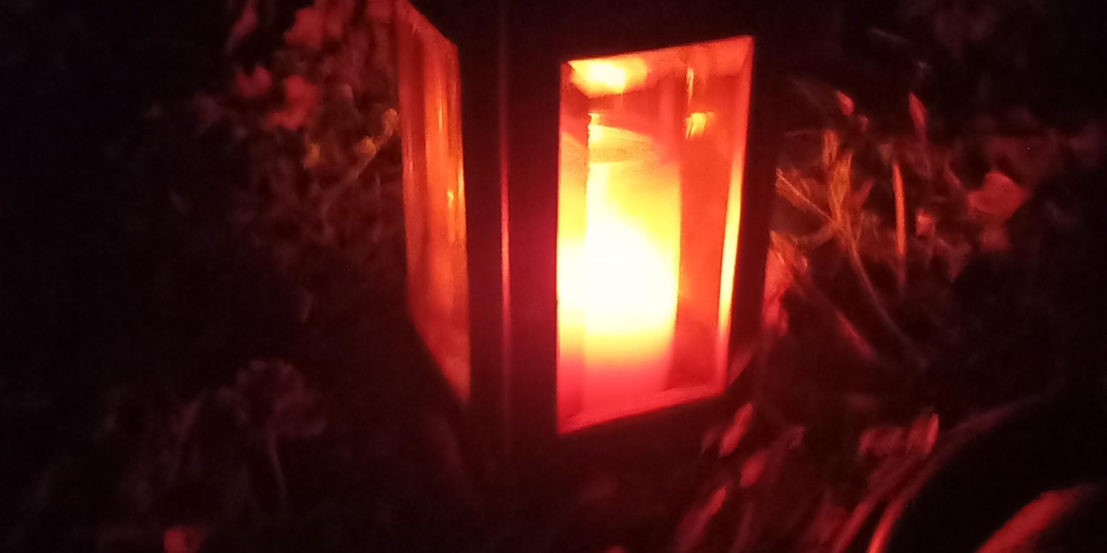 20251103_185113 (c) Marco Weber 20251103_185113